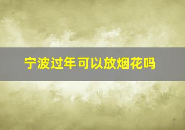 宁波过年可以放烟花吗