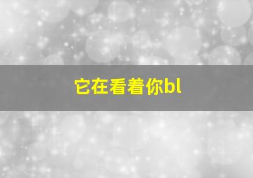 它在看着你bl