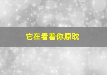 它在看着你原耽