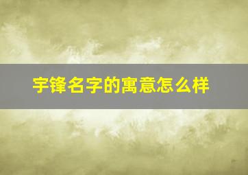 宇锋名字的寓意怎么样