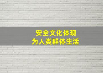 安全文化体现为人类群体生活