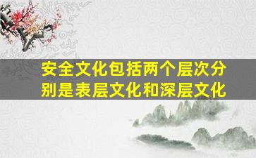 安全文化包括两个层次分别是表层文化和深层文化