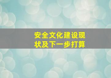 安全文化建设现状及下一步打算