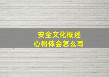 安全文化概述心得体会怎么写