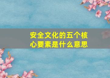 安全文化的五个核心要素是什么意思