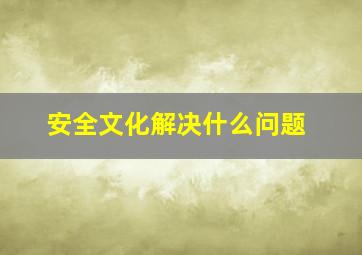 安全文化解决什么问题