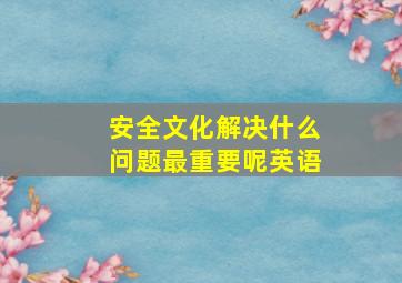 安全文化解决什么问题最重要呢英语