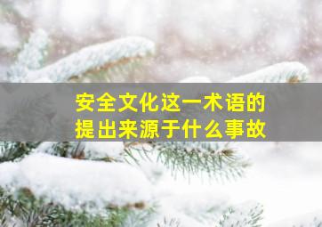 安全文化这一术语的提出来源于什么事故