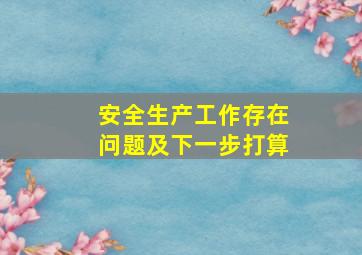 安全生产工作存在问题及下一步打算