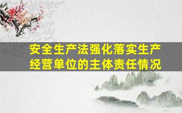 安全生产法强化落实生产经营单位的主体责任情况