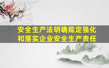 安全生产法明确规定强化和落实企业安全生产责任