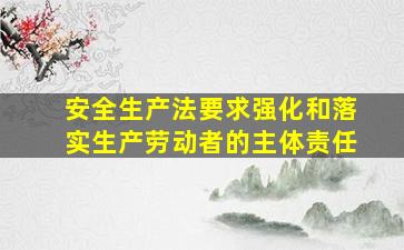 安全生产法要求强化和落实生产劳动者的主体责任