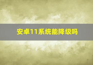 安卓11系统能降级吗