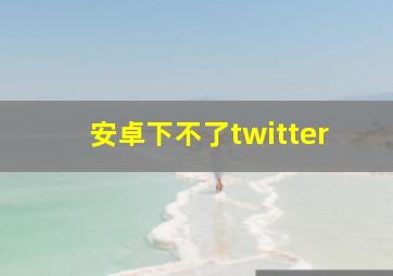 安卓下不了twitter