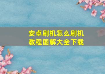 安卓刷机怎么刷机教程图解大全下载