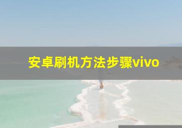 安卓刷机方法步骤vivo