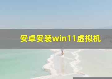 安卓安装win11虚拟机