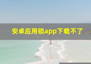 安卓应用锁app下载不了