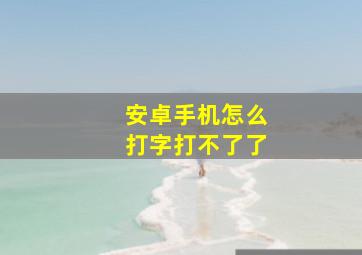 安卓手机怎么打字打不了了