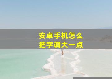 安卓手机怎么把字调大一点