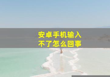 安卓手机输入不了怎么回事