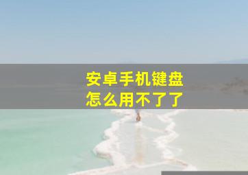 安卓手机键盘怎么用不了了