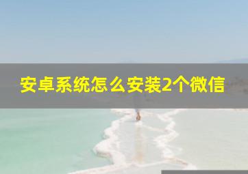 安卓系统怎么安装2个微信