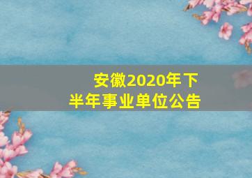 安徽2020年下半年事业单位公告