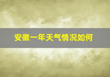 安徽一年天气情况如何