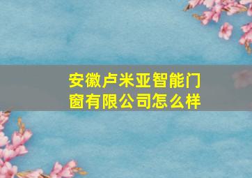 安徽卢米亚智能门窗有限公司怎么样