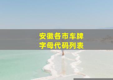 安徽各市车牌字母代码列表