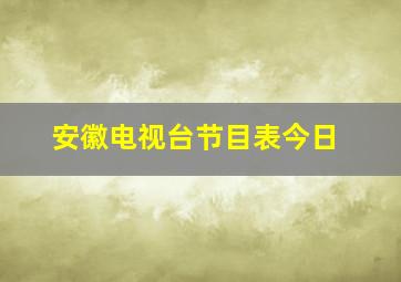 安徽电视台节目表今日