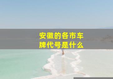 安徽的各市车牌代号是什么