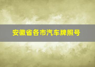 安徽省各市汽车牌照号