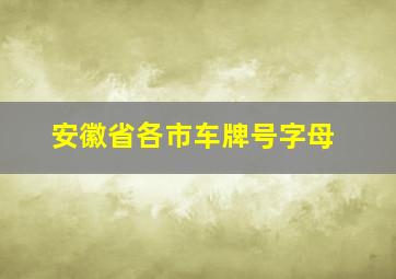 安徽省各市车牌号字母