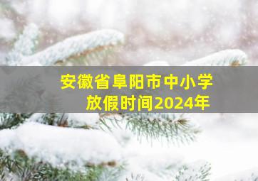 安徽省阜阳市中小学放假时间2024年