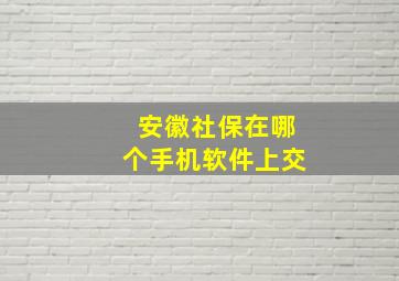 安徽社保在哪个手机软件上交