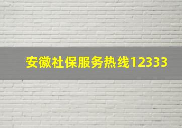 安徽社保服务热线12333