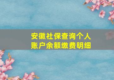 安徽社保查询个人账户余额缴费明细