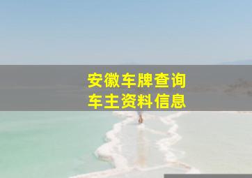 安徽车牌查询车主资料信息