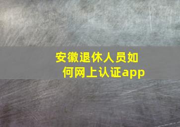 安徽退休人员如何网上认证app