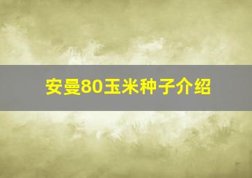 安曼80玉米种子介绍