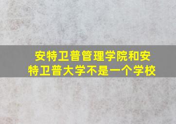 安特卫普管理学院和安特卫普大学不是一个学校