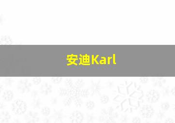 安迪Karl