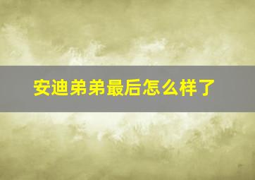 安迪弟弟最后怎么样了