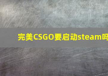 完美CSGO要启动steam吗