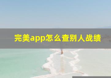 完美app怎么查别人战绩