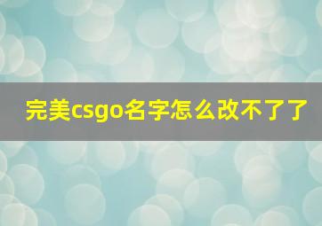 完美csgo名字怎么改不了了