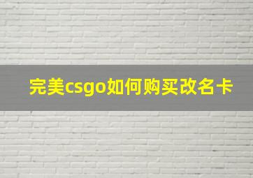 完美csgo如何购买改名卡