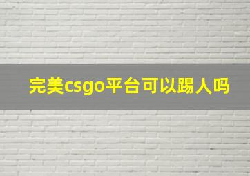 完美csgo平台可以踢人吗